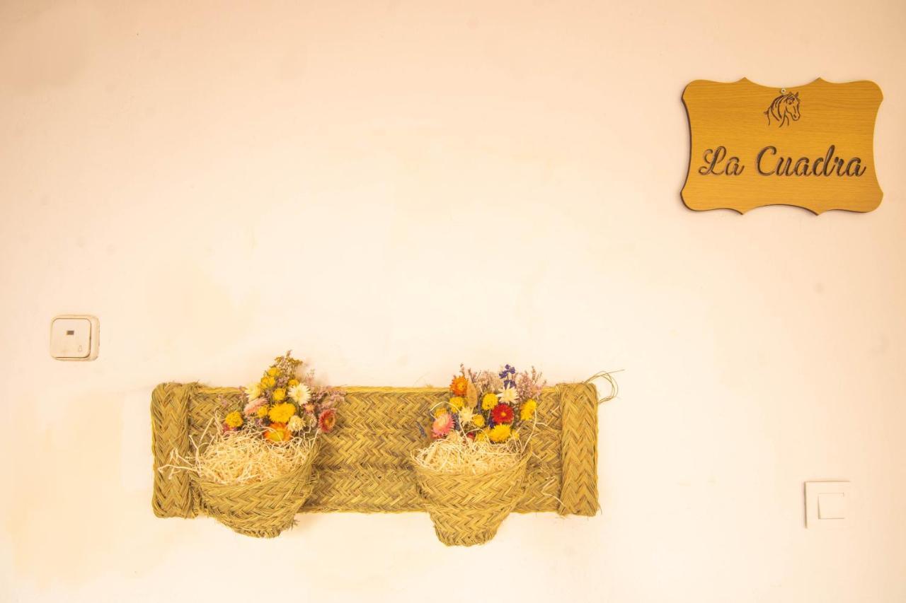 Apartamento La Cuadra En Centro Cordoba Ngoại thất bức ảnh